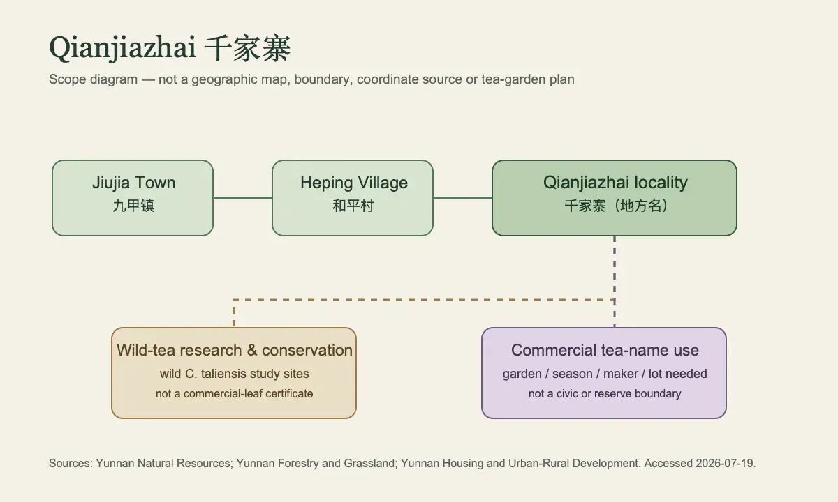 Non-geographic evidence diagram separating Qianjiazhai locality, Heping Village, Jiujia Town, protected wild-tea study sites and the commercial tea name.