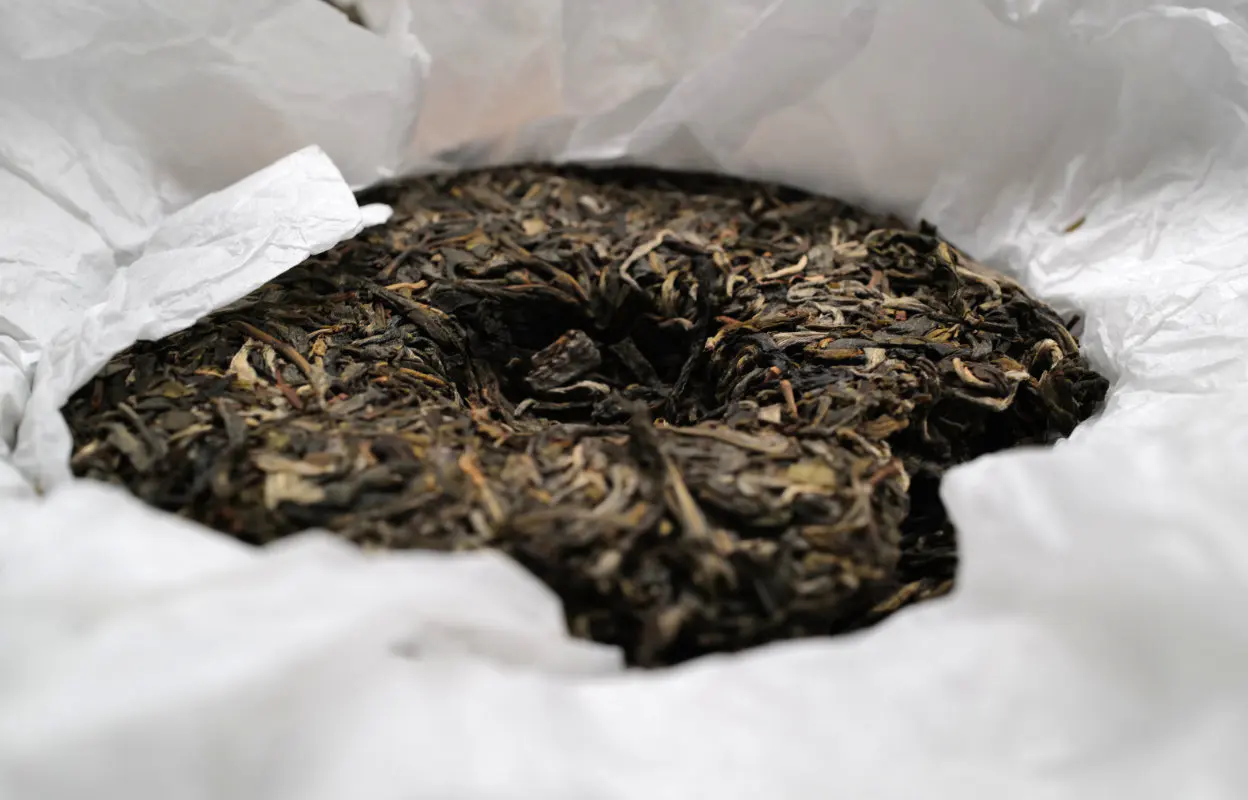 Dry and brewed leaf from the reviewed 2025 Dijie raw Pu-erh