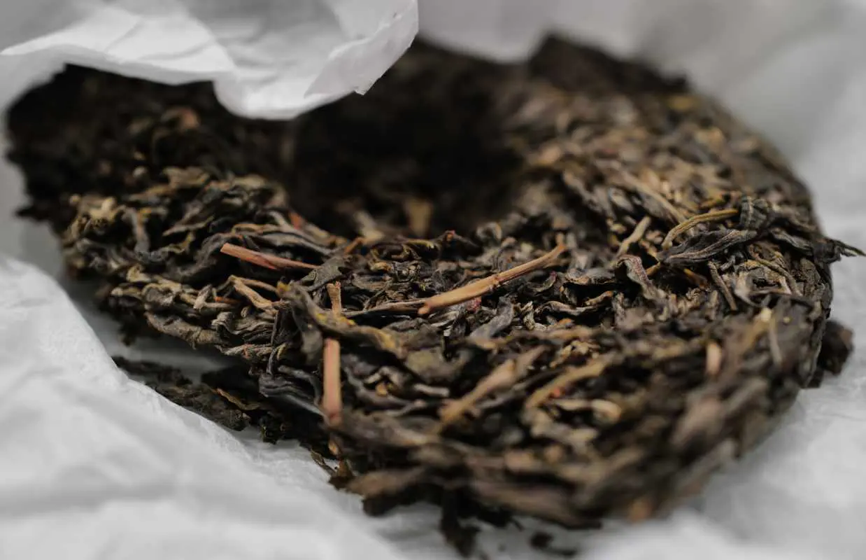 Dry and brewed leaf from the reviewed 2025 Xiaohusai raw Pu-erh