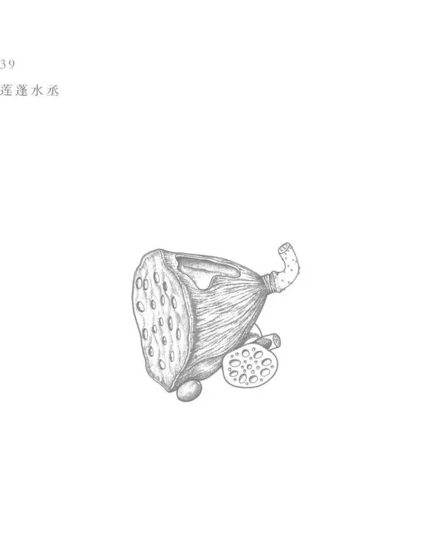 Book illustration of 莲蓬水丞